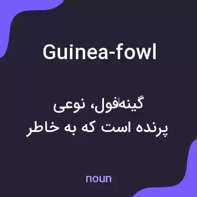 معنی guinea-fowl به فارسی معنی guinea-fowl به فارسی