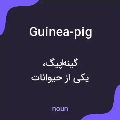 معنی guinea-pig به فارسی معنی guinea-pig به فارسی