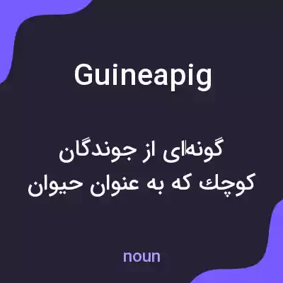 معنی guinea pig به فارسی معنی guinea pig به فارسی