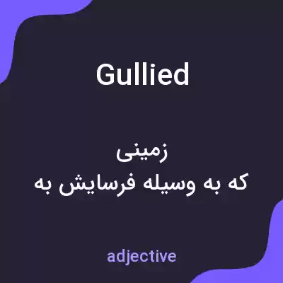 معنی gullied به فارسی معنی gullied به فارسی