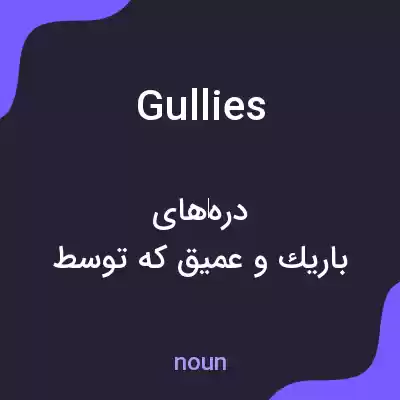 معنی gullies به فارسی