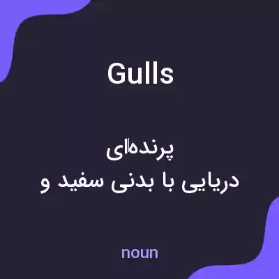 معنی gulls به فارسی معنی gulls به فارسی