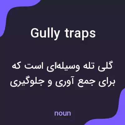 معنی gully traps به فارسی معنی gully traps به فارسی