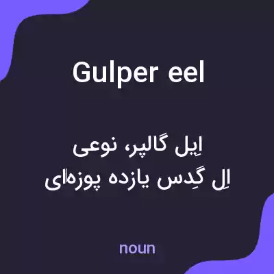 معنی gulper eel به فارسی
