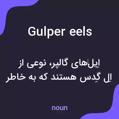 معنی gulper eels به فارسی معنی gulper eels به فارسی