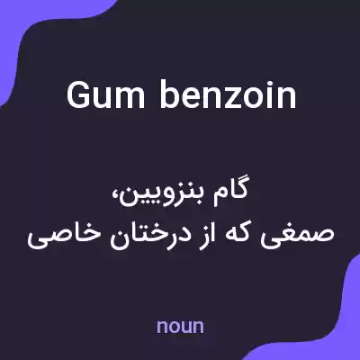 معنی gum benzoin به فارسی معنی gum benzoin به فارسی