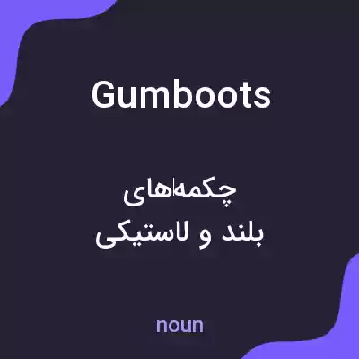معنی gumboots به فارسی