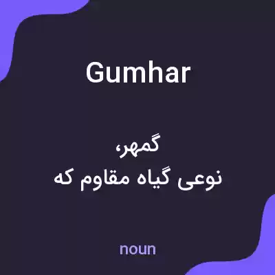معنی gumhar به فارسی معنی gumhar به فارسی