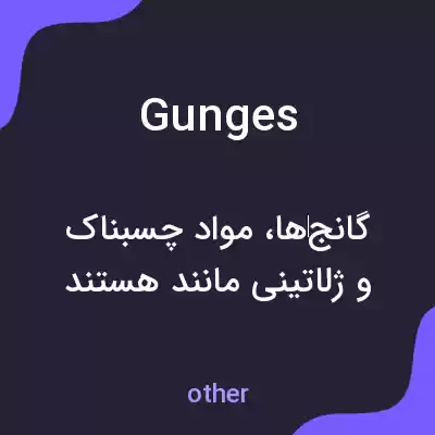 معنی gunges به فارسی معنی gunges به فارسی