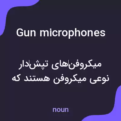 معنی gun microphones به فارسی معنی gun microphones به فارسی