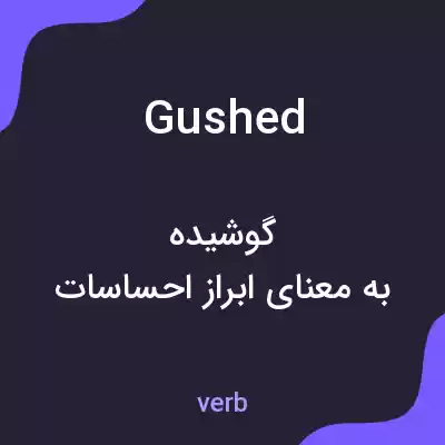 معنی gushed به فارسی معنی gushed به فارسی