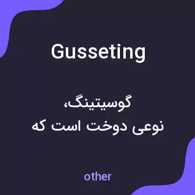 معنی gusseting به فارسی معنی gusseting به فارسی