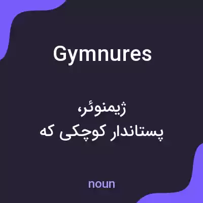 معنی gymnures به فارسی معنی gymnures به فارسی