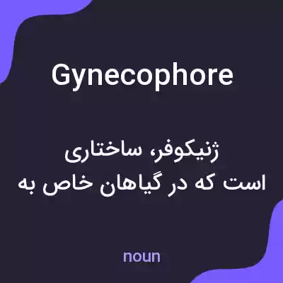 معنی gynecophore به فارسی معنی gynecophore به فارسی