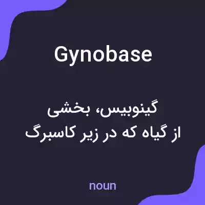 معنی gynobase به فارسی معنی gynobase به فارسی