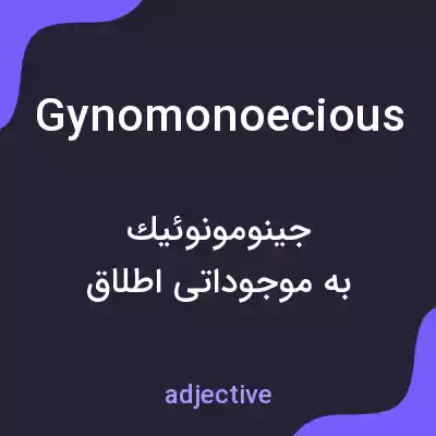 معنی gynomonoecious به فارسی معنی gynomonoecious به فارسی