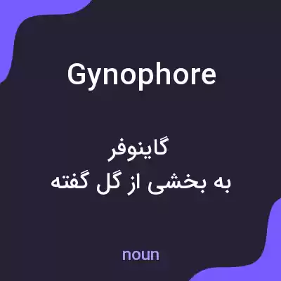 معنی gynophore به فارسی معنی gynophore به فارسی