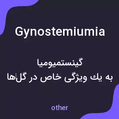 معنی gynostemiumia به فارسی معنی gynostemiumia به فارسی