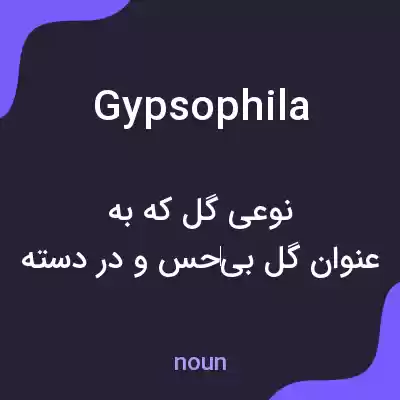 معنی gypsophila به فارسی معنی gypsophila به فارسی