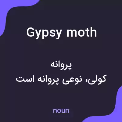 معنی gypsy moth به فارسی معنی gypsy moth به فارسی