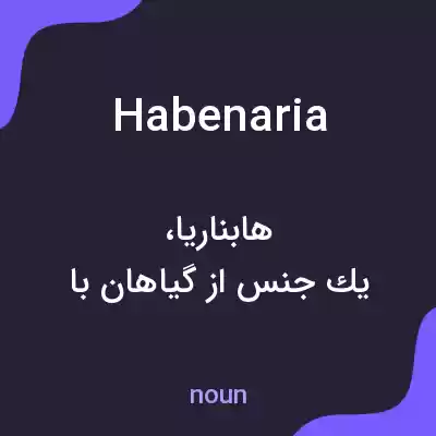 معنی habenaria به فارسی معنی habenaria به فارسی