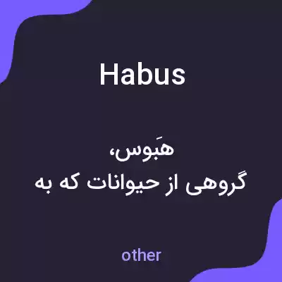معنی habus به فارسی معنی habus به فارسی