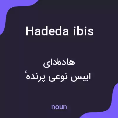 معنی hadeda ibis به فارسی معنی hadeda ibis به فارسی