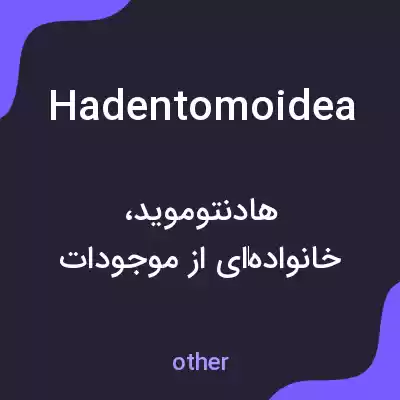 معنی hadentomoidea به فارسی معنی hadentomoidea به فارسی