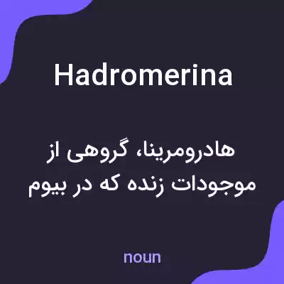 معنی hadromerina به فارسی معنی hadromerina به فارسی