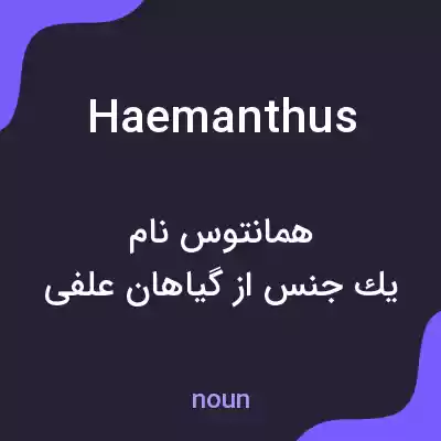 معنی haemanthus به فارسی معنی haemanthus به فارسی
