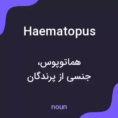 معنی haematopus به فارسی معنی haematopus به فارسی