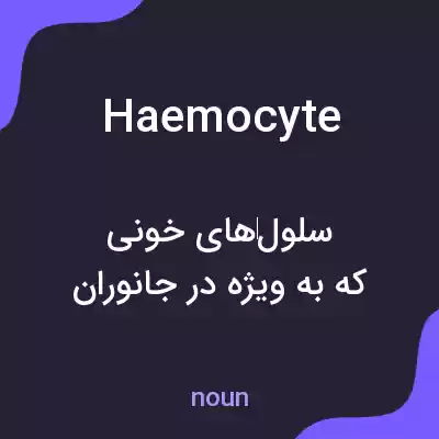 معنی haemocyte به فارسی