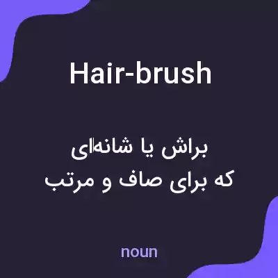 معنی hair-brush به فارسی