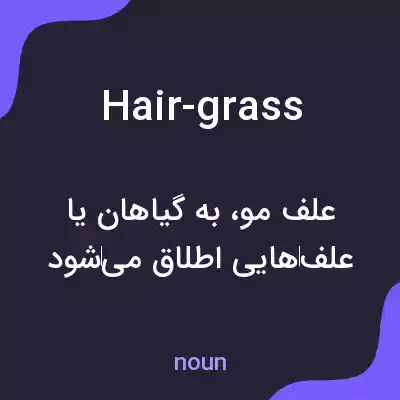 معنی hair-grass به فارسی معنی hair-grass به فارسی