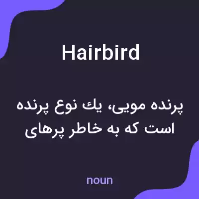 معنی hairbird به فارسی معنی hairbird به فارسی