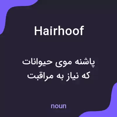 معنی hairhoof به فارسی معنی hairhoof به فارسی