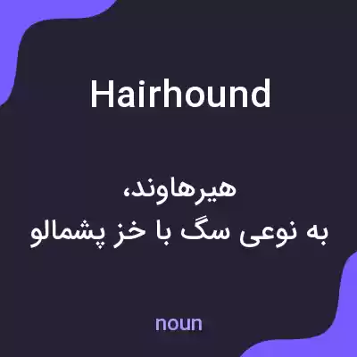 معنی hairhound به فارسی معنی hairhound به فارسی