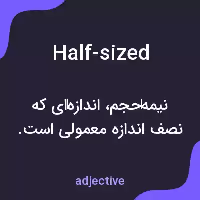معنی half-sized به فارسی معنی half-sized به فارسی
