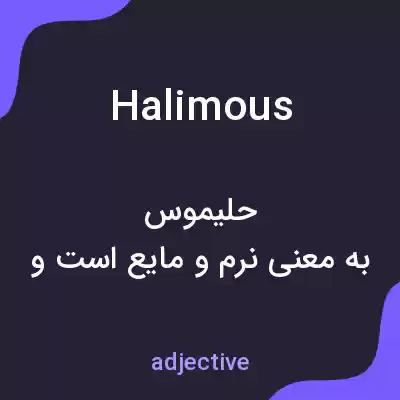 معنی halimous به فارسی معنی halimous به فارسی