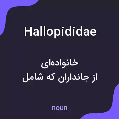 معنی hallopididae به فارسی