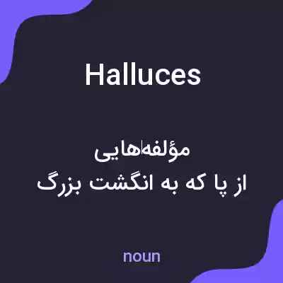 معنی halluces به فارسی معنی halluces به فارسی