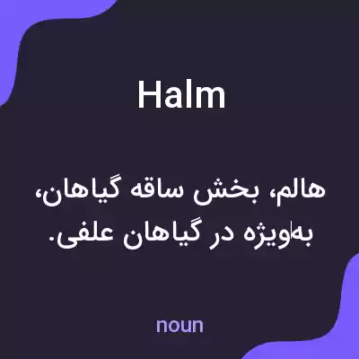 معنی halm به فارسی معنی halm به فارسی