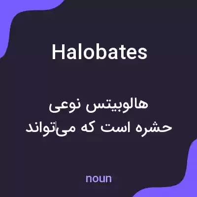 معنی halobates به فارسی معنی halobates به فارسی
