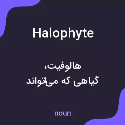 معنی halophyte به فارسی معنی halophyte به فارسی