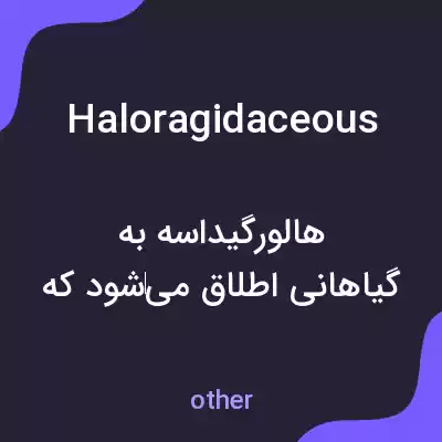 معنی haloragidaceous به فارسی معنی haloragidaceous به فارسی