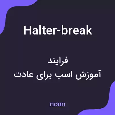معنی halter-break به فارسی
