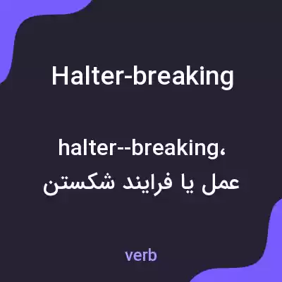 معنی halter-breaking به فارسی معنی halter-breaking به فارسی