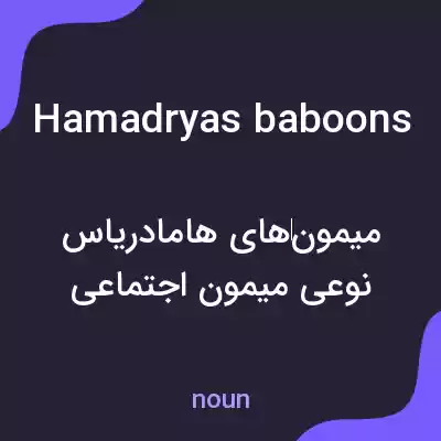 معنی hamadryas baboons به فارسی معنی hamadryas baboons به فارسی