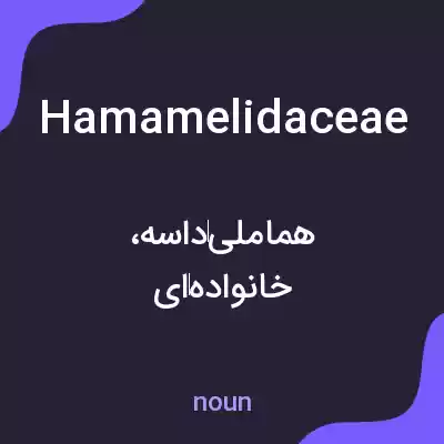 معنی hamamelidaceae به فارسی معنی hamamelidaceae به فارسی