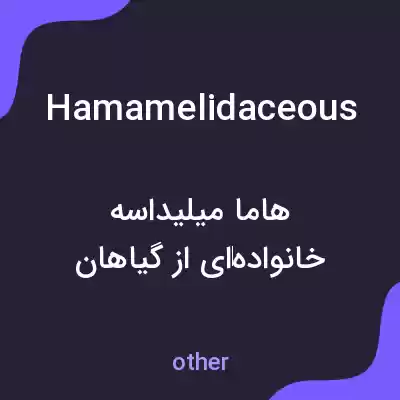 معنی hamamelidaceous به فارسی معنی hamamelidaceous به فارسی
